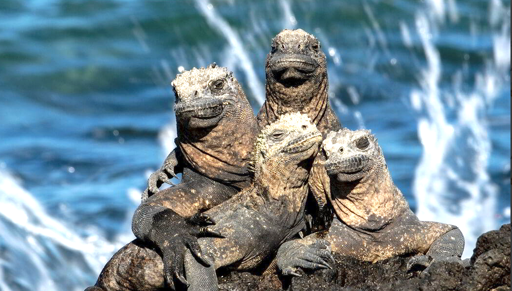 Group   2CW   150211 BA